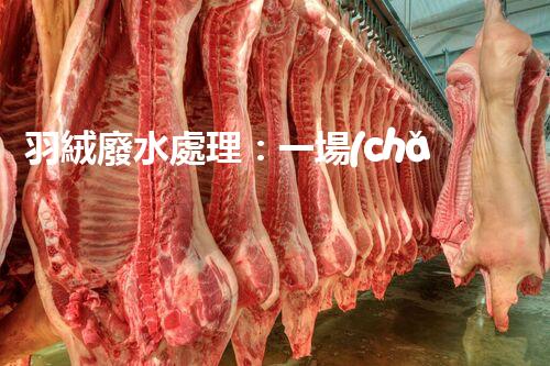 羽絨廢水處理：一場(chǎng)綠色環(huán)保的羽毛盛宴？